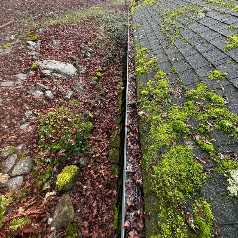 A gutter that has been cleaned with moss.