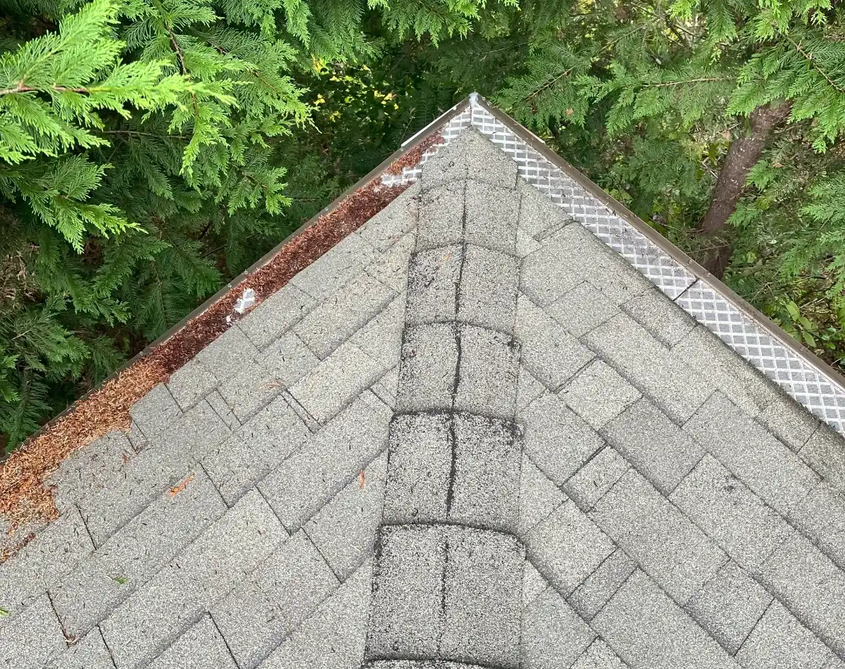 Roof with debris and green foliage.