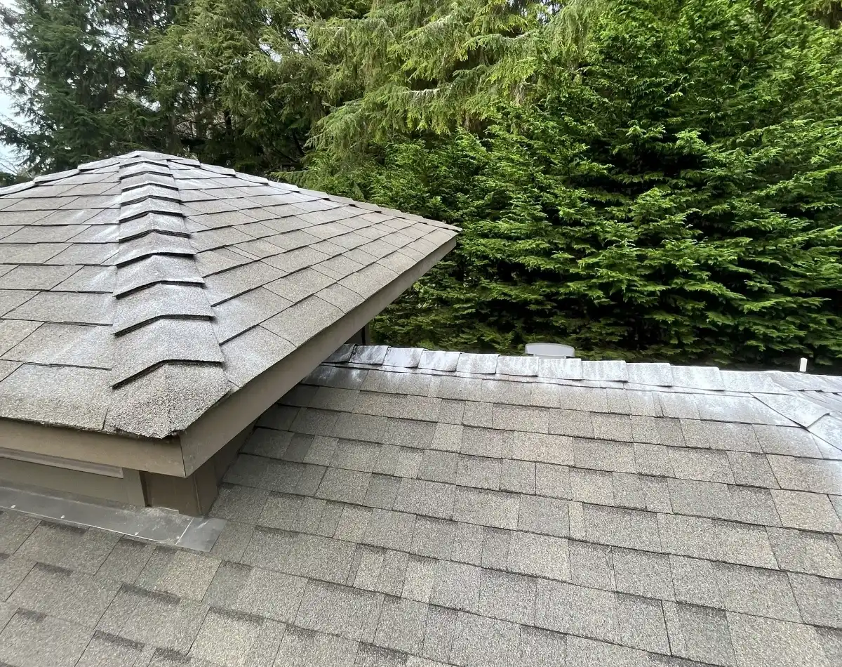 Grey shingled roof with green trees.